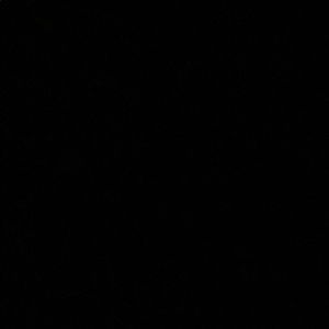 Meet your Posher, Wesley